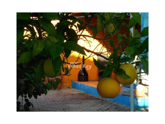 Image No.20-4 Bed House for sale