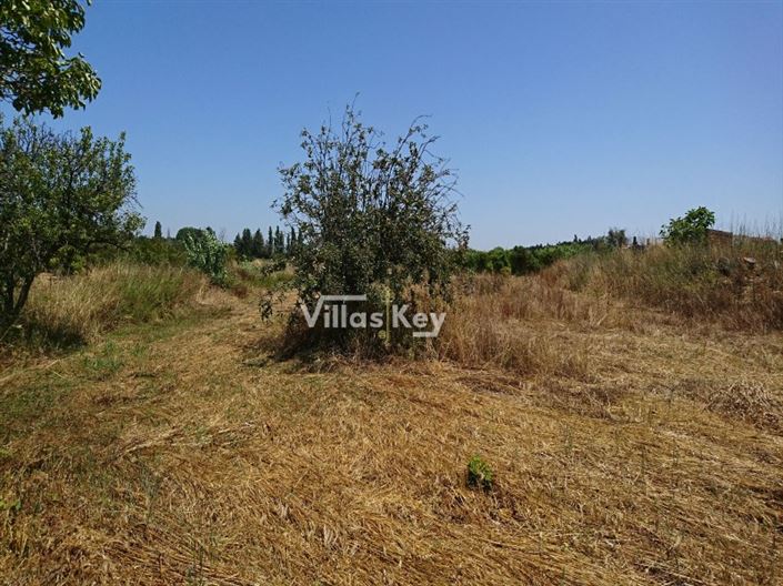 Image No.4-Plot for sale