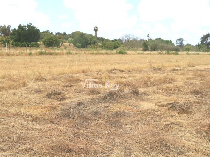 Image No.3-Plot for sale