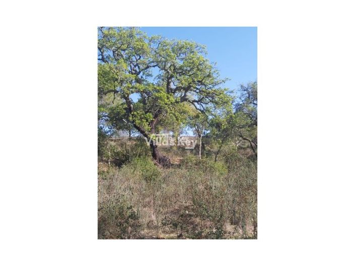 Image No.10-Plot for sale