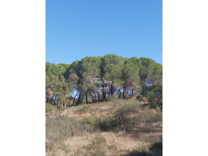 Image No.2-Plot for sale