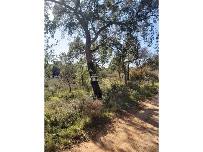 Image No.4-Plot for sale