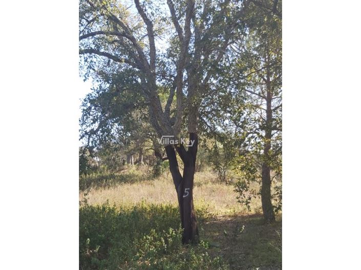 Image No.5-Plot for sale