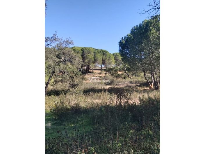 Image No.6-Plot for sale