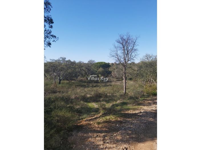 Image No.7-Plot for sale