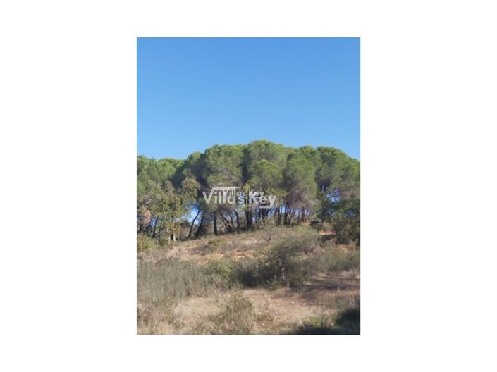 Image No.9-Plot for sale