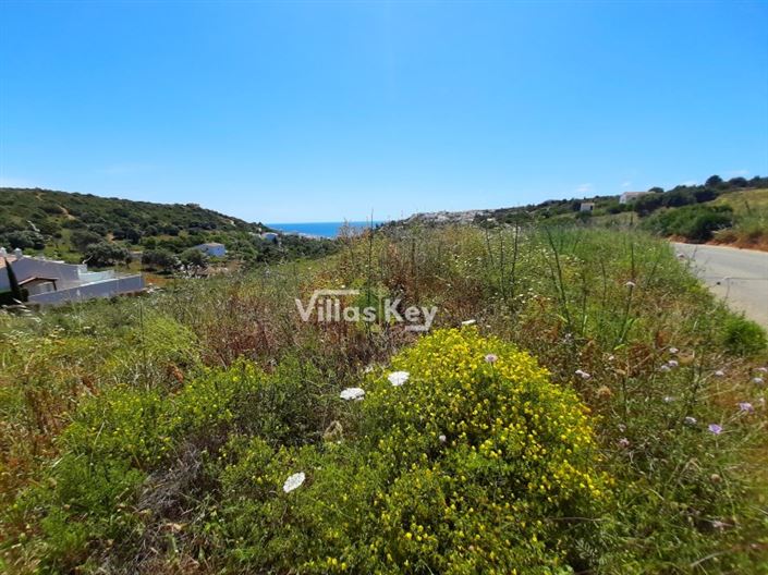 Image No.2-Plot for sale