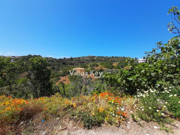 Image No.3-Plot for sale