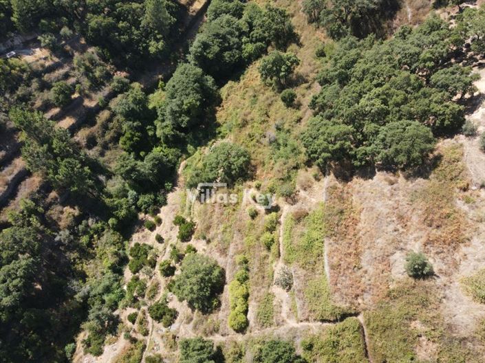 Image No.18-Plot for sale