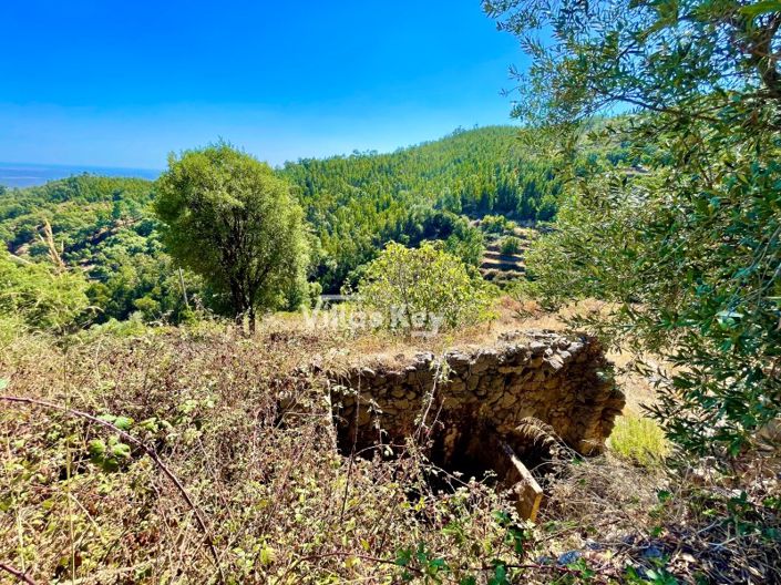 Image No.2-Plot for sale