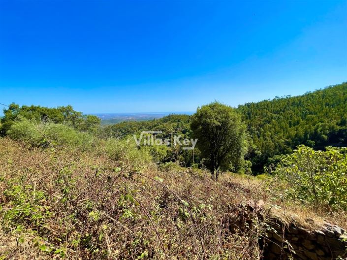 Image No.4-Plot for sale