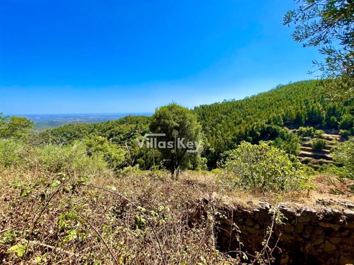 Image No.5-Plot for sale