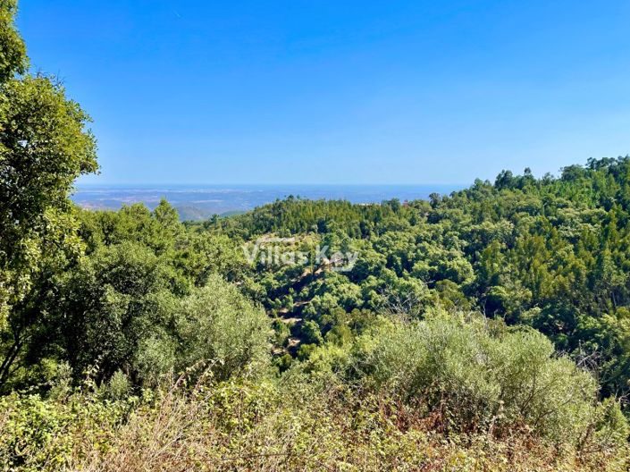 Image No.6-Plot for sale