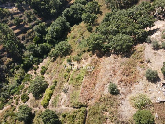 Image No.8-Plot for sale