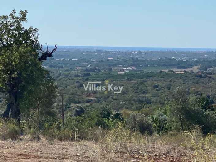 Image No.3-Plot for sale