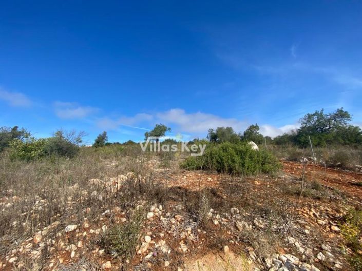 Image No.7-Plot for sale