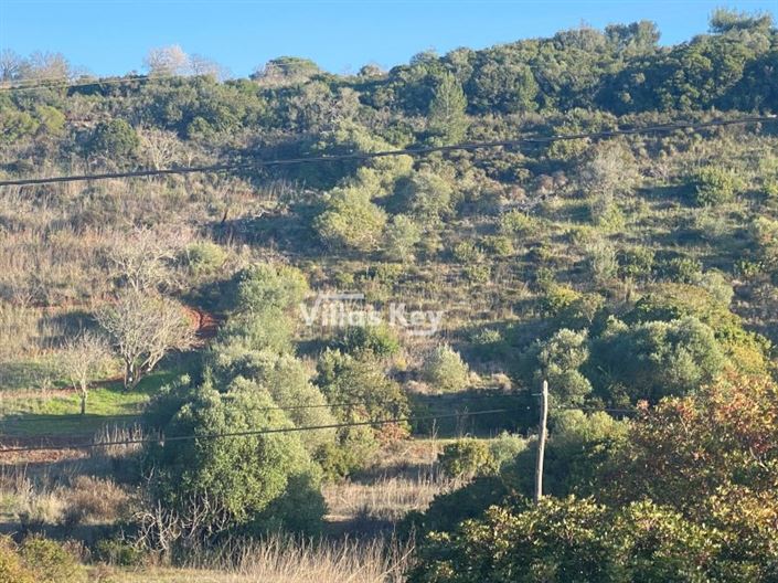 Image No.14-Plot for sale