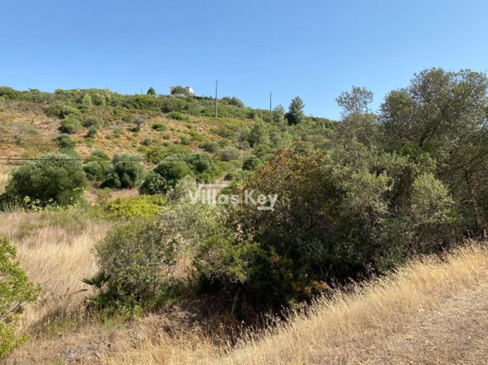 Image No.4-Plot for sale