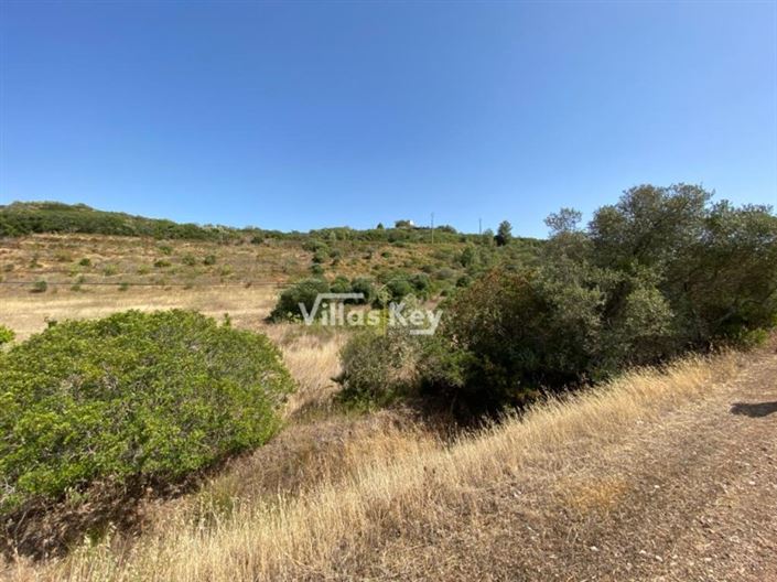 Image No.8-Plot for sale