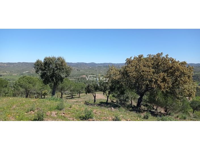 Image No.11-2 Bed Farmhouse for sale