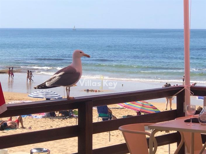 Image No.4-1 Bed Apartment for sale