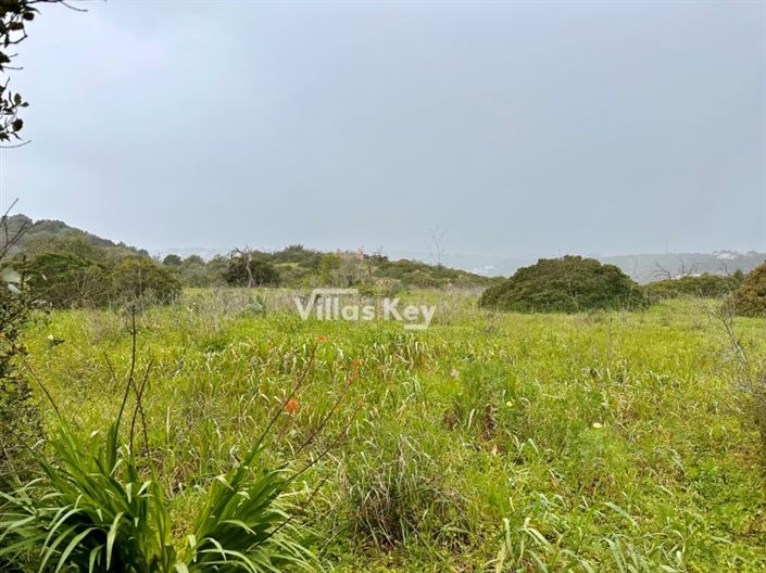 Image No.4-Farmhouse for sale