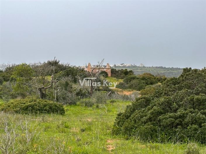 Image No.7-Farmhouse for sale