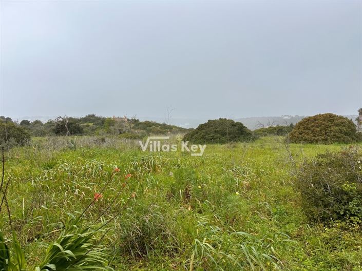 Image No.8-Farmhouse for sale