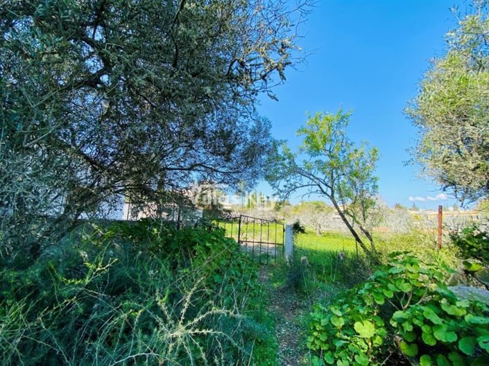 Image No.13-House for sale