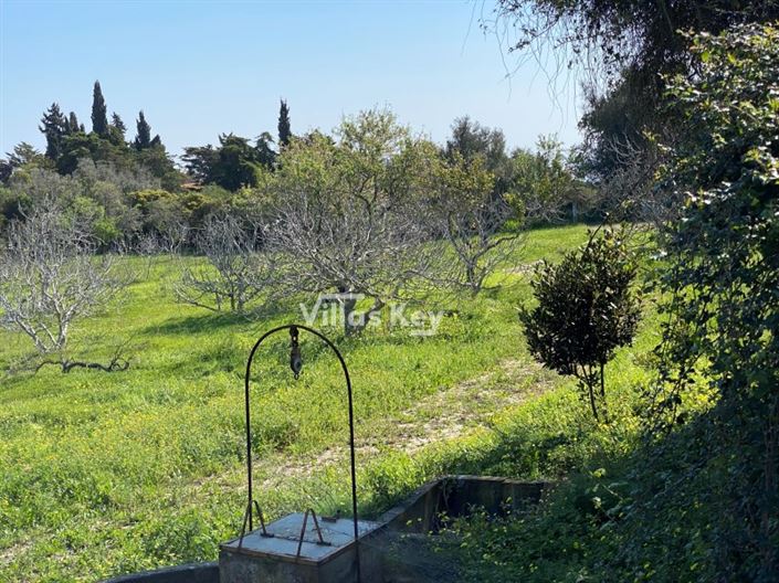 Image No.7-House for sale