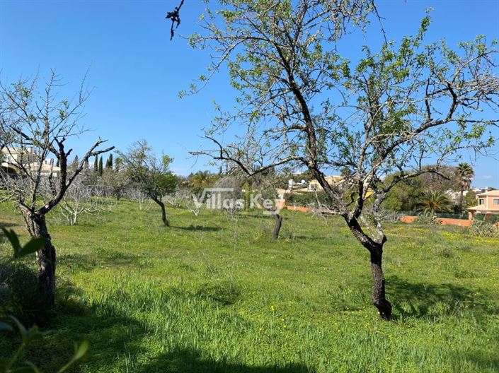 Image No.8-House for sale