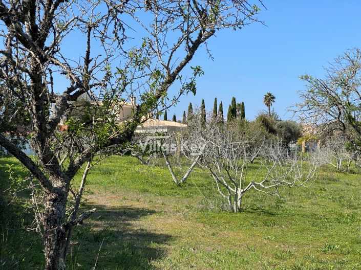 Image No.9-House for sale