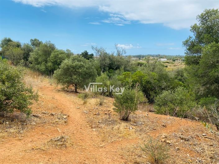 Image No.12-Plot for sale