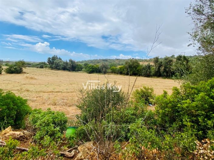 Image No.11-Plot for sale