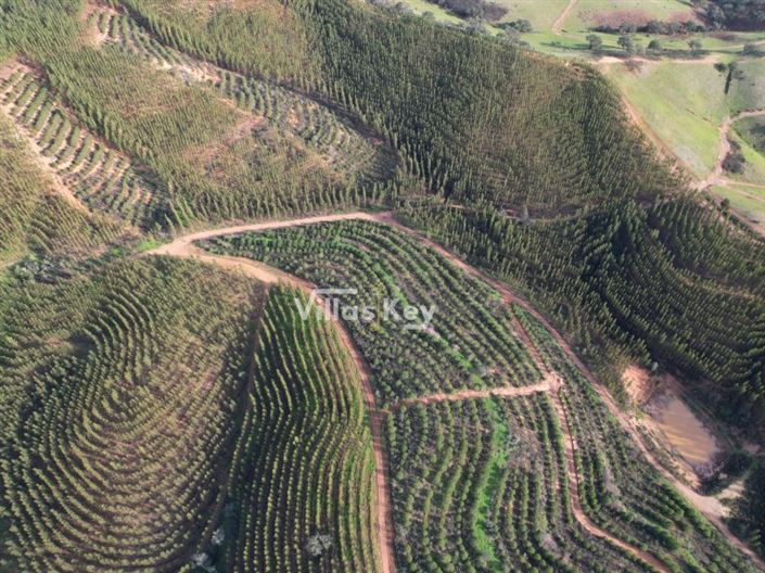 Image No.3-Farmhouse for sale