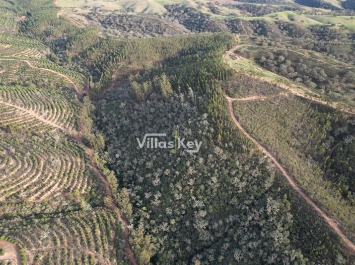 Image No.10-Farmhouse for sale