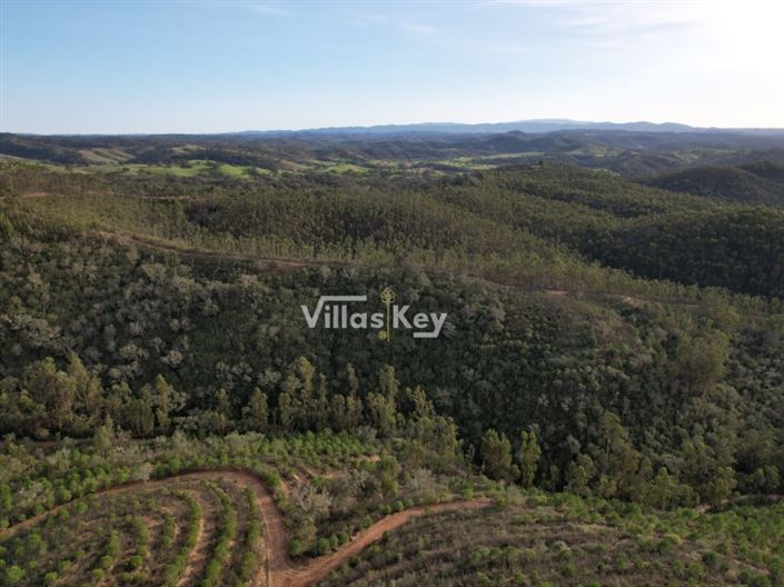 Image No.11-Farmhouse for sale