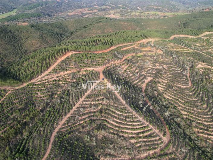 Image No.12-Farmhouse for sale