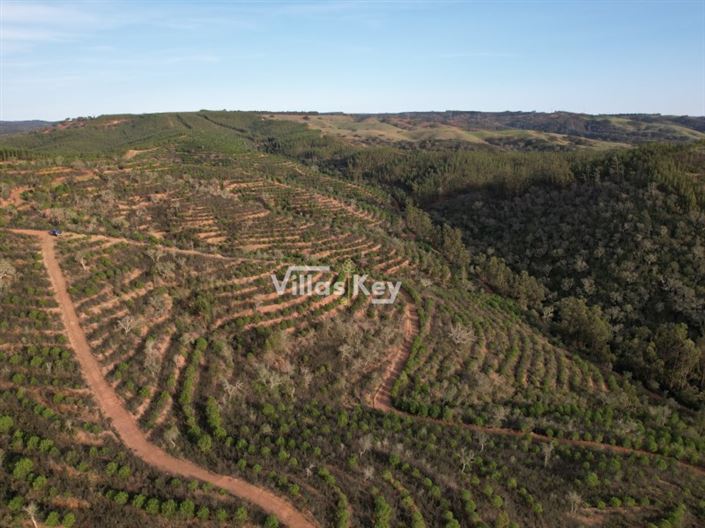 Image No.13-Farmhouse for sale