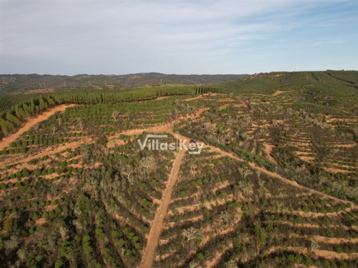 Image No.14-Farmhouse for sale