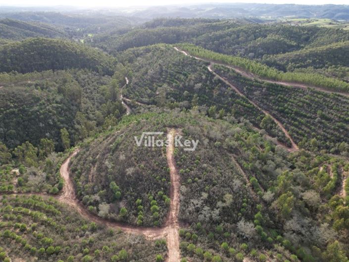 Image No.15-Farmhouse for sale