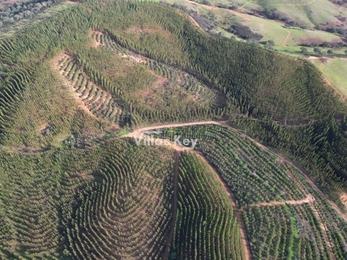 Image No.4-Farmhouse for sale