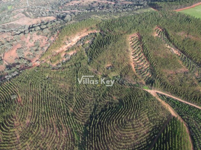 Image No.5-Farmhouse for sale