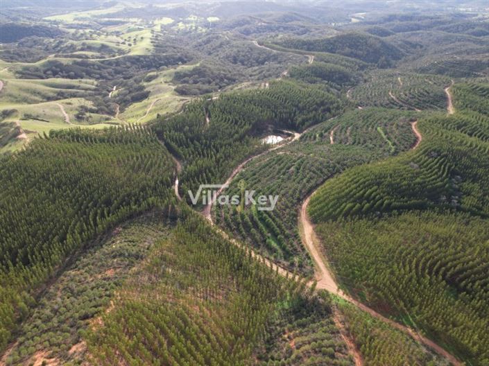 Image No.2-Farmhouse for sale