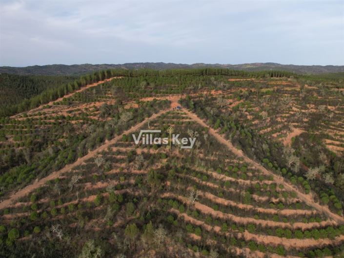 Image No.7-Farmhouse for sale