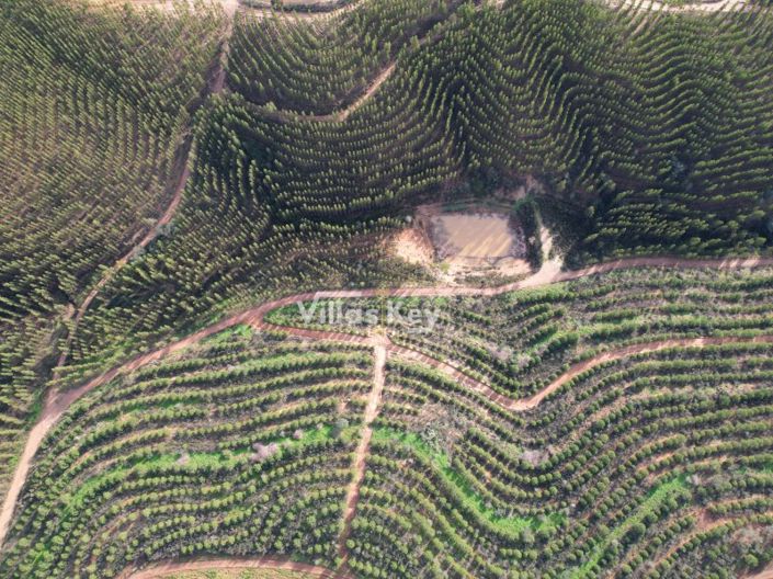 Image No.6-Farmhouse for sale