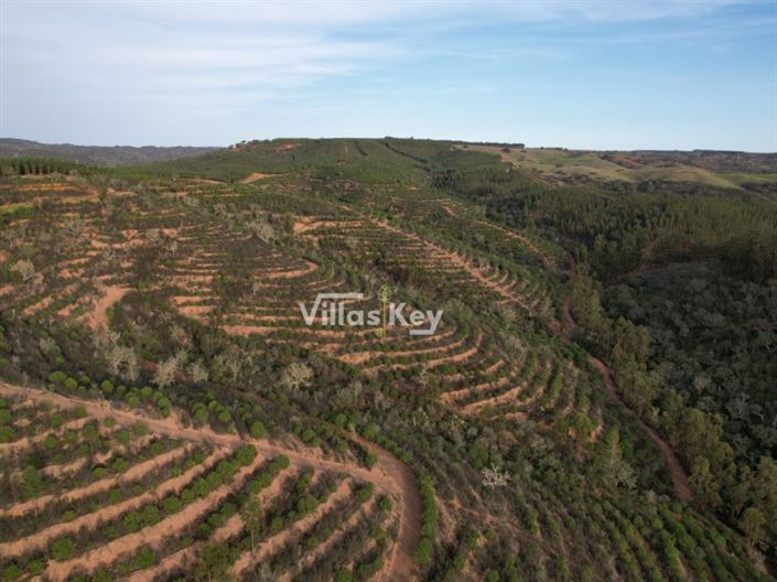 Image No.8-Farmhouse for sale