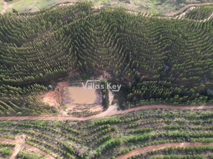 Image No.9-Farmhouse for sale