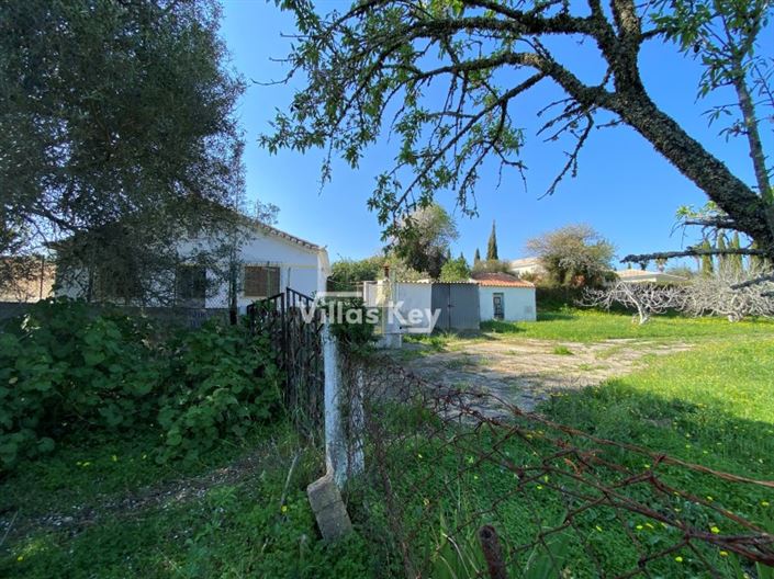 Image No.11-Plot for sale