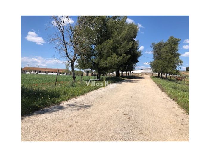 Image No.13-8 Bed Farmhouse for sale